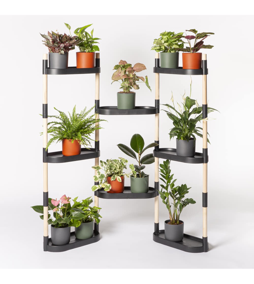 Modulares Pflanzengestell mit 8 Regalböden Schwarz
